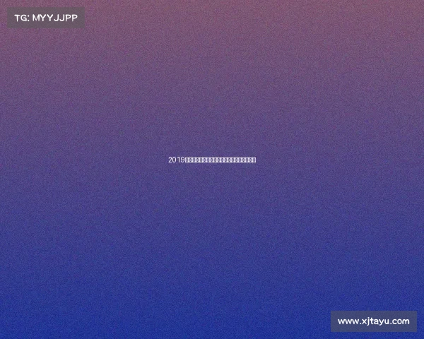 2019年足球盛事法国女足世界杯荣耀征程激情对决